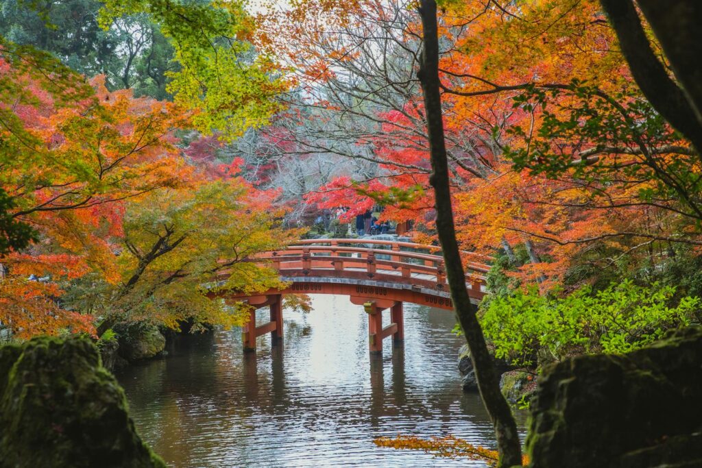 otoño en kioto